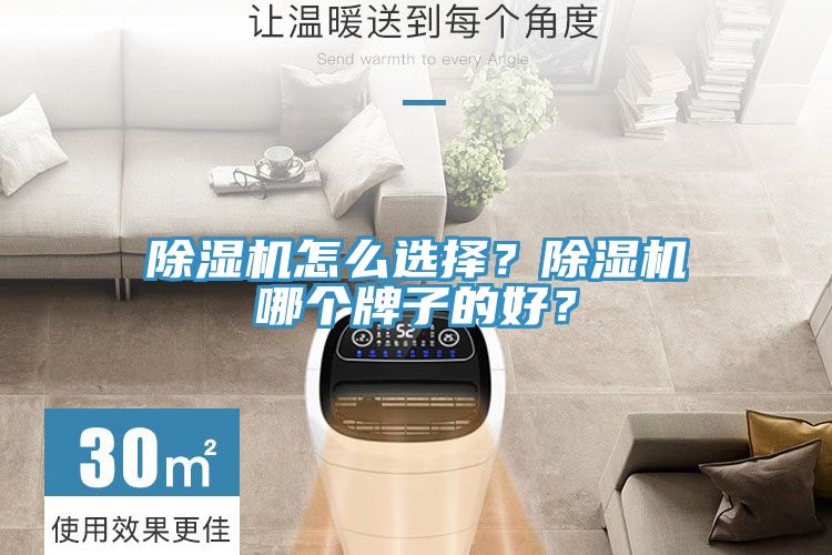除濕機(jī)怎么選擇？除濕機(jī)哪個(gè)牌子的好？