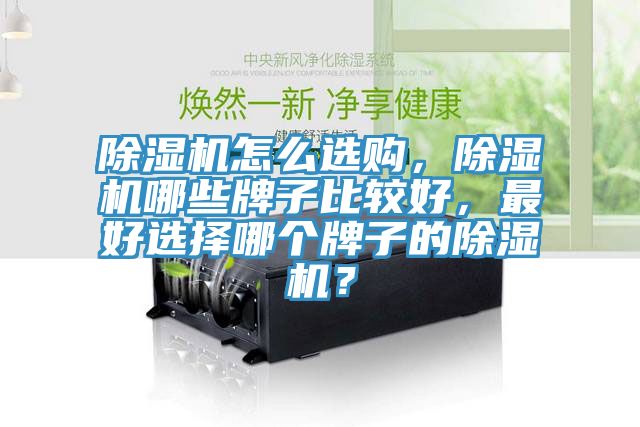除濕機(jī)怎么選購，除濕機(jī)哪些牌子比較好，最好選擇哪個(gè)牌子的除濕機(jī)？