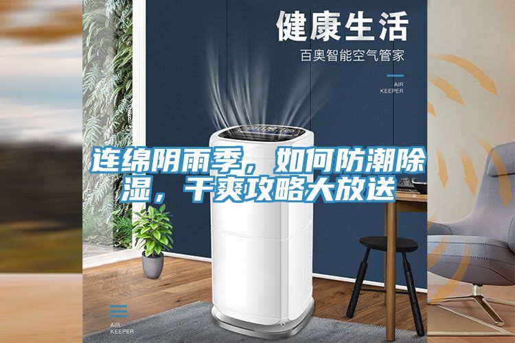 連綿陰雨季，如何防潮除濕，干爽攻略大放送