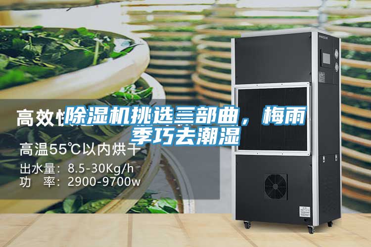 除濕機(jī)挑選三部曲，梅雨季巧去潮濕