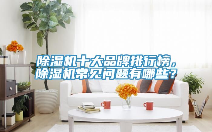除濕機(jī)十大品牌排行榜，除濕機(jī)常見問題有哪些？