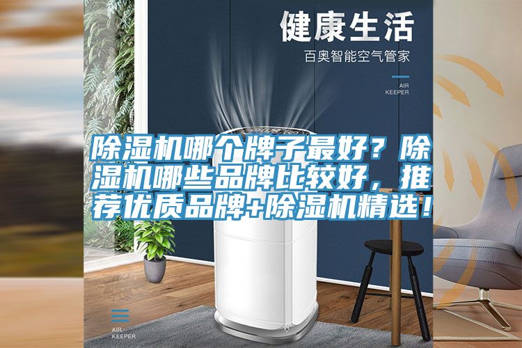 除濕機(jī)哪個(gè)牌子最好？除濕機(jī)哪些品牌比較好，推薦優(yōu)質(zhì)品牌+除濕機(jī)精選！