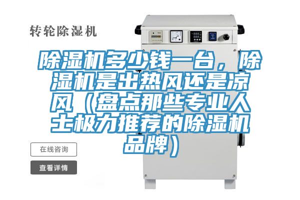 除濕機(jī)多少錢一臺(tái)，除濕機(jī)是出熱風(fēng)還是涼風(fēng)（盤(pán)點(diǎn)那些專業(yè)人士極力推薦的除濕機(jī)品牌）