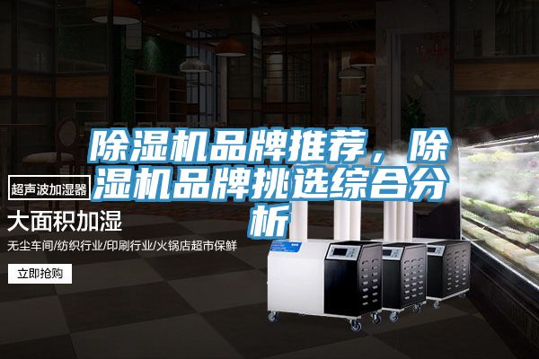 除濕機品牌推薦，除濕機品牌挑選綜合分析