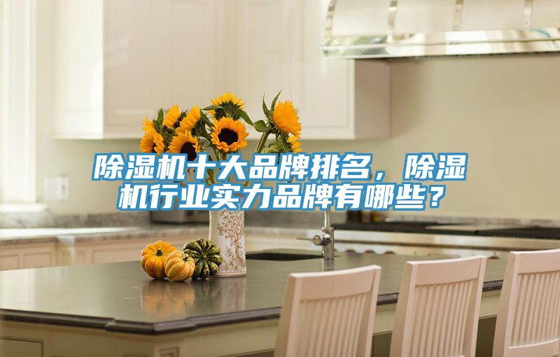 除濕機(jī)十大品牌排名，除濕機(jī)行業(yè)實(shí)力品牌有哪些？