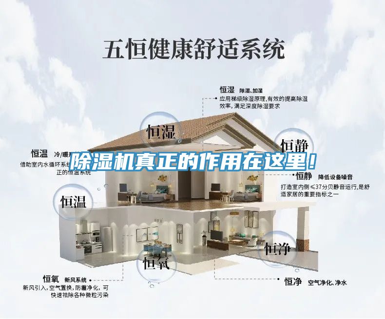 除濕機(jī)真正的作用在這里！