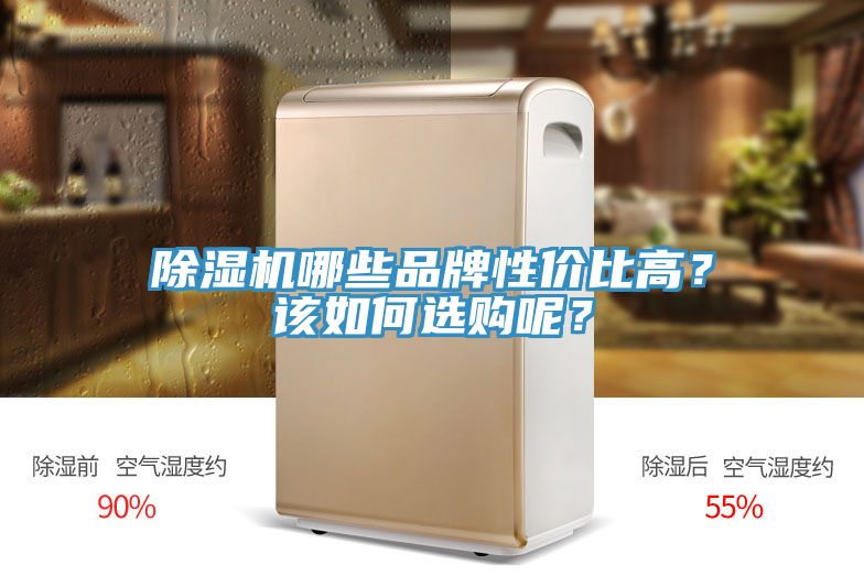 除濕機(jī)哪些品牌性價(jià)比高？該如何選購呢？