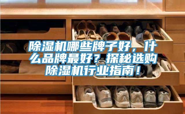 除濕機(jī)哪些牌子好，什么品牌最好？探秘選購(gòu)除濕機(jī)行業(yè)指南！