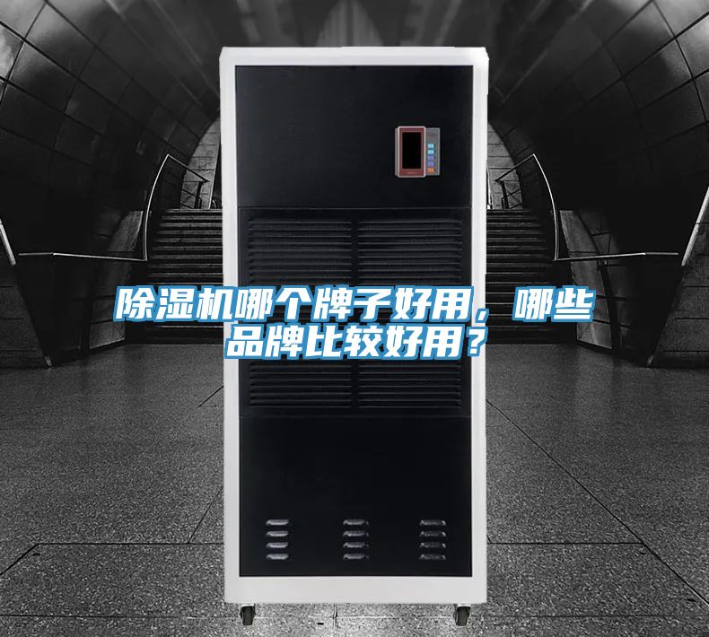 除濕機哪個牌子好用，哪些品牌比較好用？