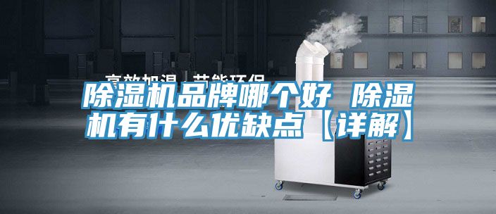 除濕機(jī)品牌哪個好 除濕機(jī)有什么優(yōu)缺點【詳解】