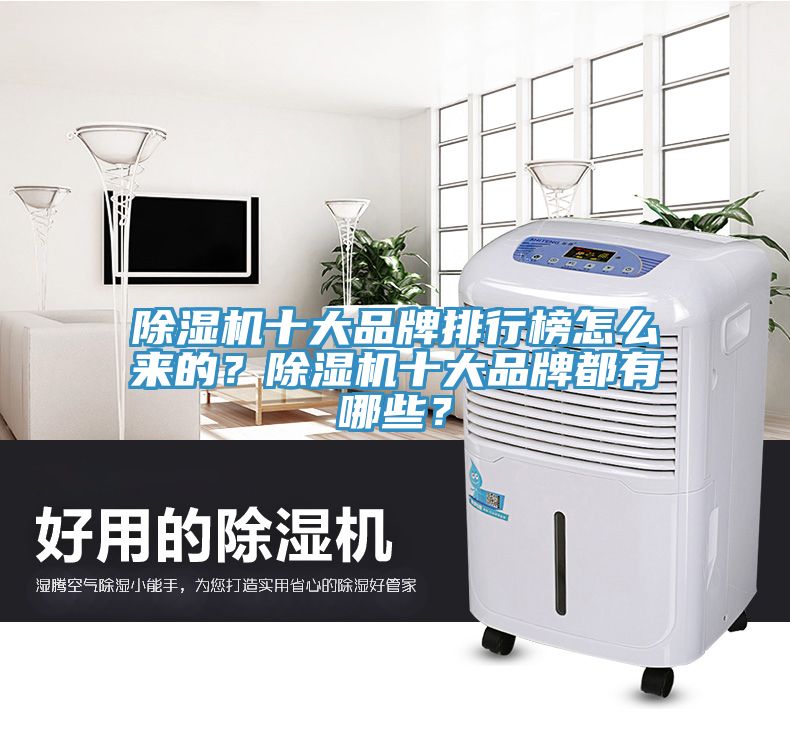 除濕機(jī)十大品牌排行榜怎么來的？除濕機(jī)十大品牌都有哪些？