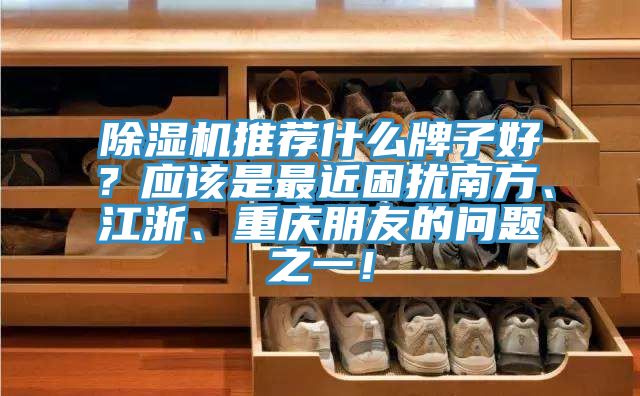 除濕機(jī)推薦什么牌子好？應(yīng)該是最近困擾南方、江浙、重慶朋友的問題之一！