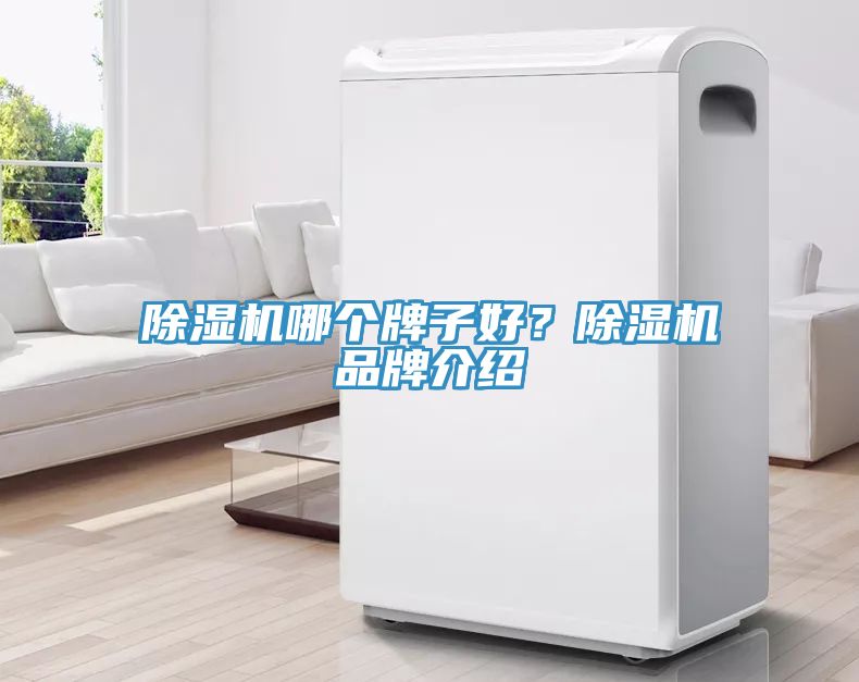 除濕機(jī)哪個(gè)牌子好？除濕機(jī)品牌介紹