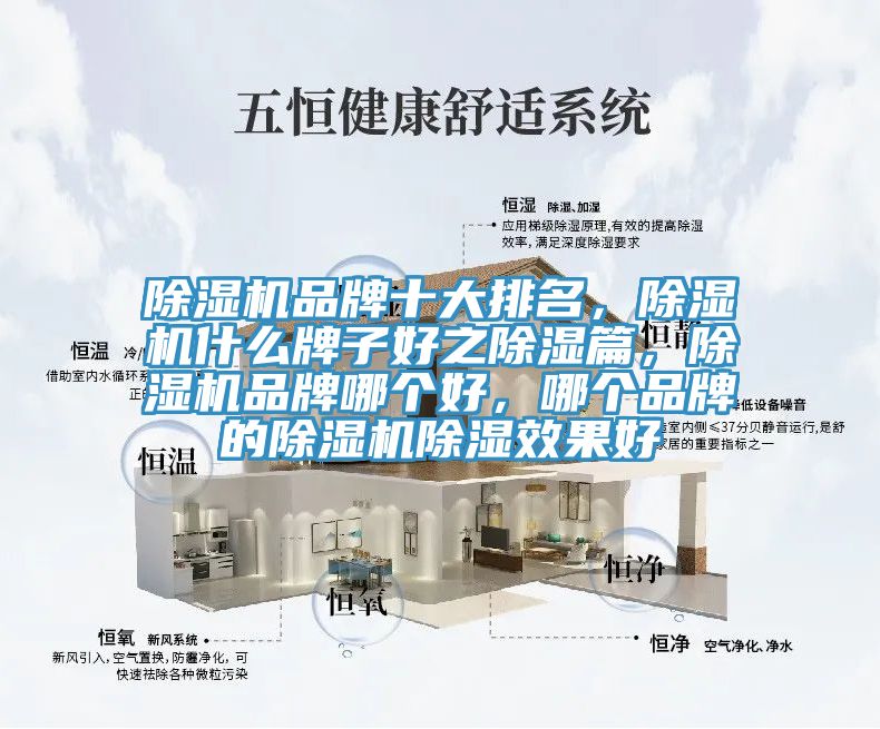 除濕機(jī)品牌十大排名，除濕機(jī)什么牌子好之除濕篇，除濕機(jī)品牌哪個好，哪個品牌的除濕機(jī)除濕效果好