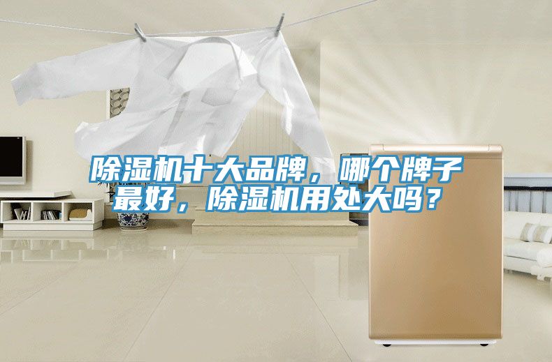 除濕機(jī)十大品牌，哪個牌子最好，除濕機(jī)用處大嗎？