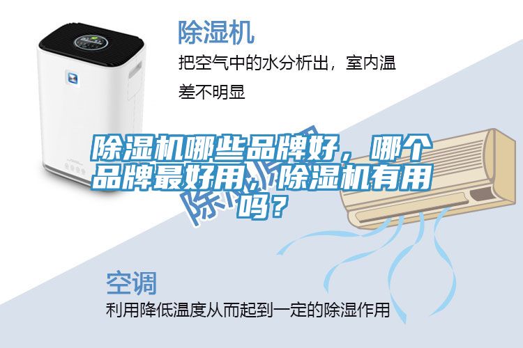 除濕機(jī)哪些品牌好，哪個(gè)品牌最好用，除濕機(jī)有用嗎？