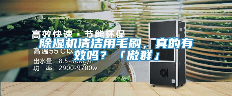 除濕機清潔用毛刷，真的有效嗎？「傲群」
