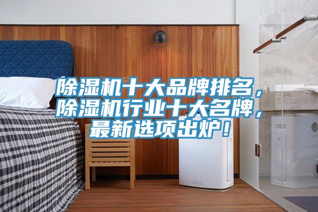 除濕機(jī)十大品牌排名，除濕機(jī)行業(yè)十大名牌，最新選項(xiàng)出爐！