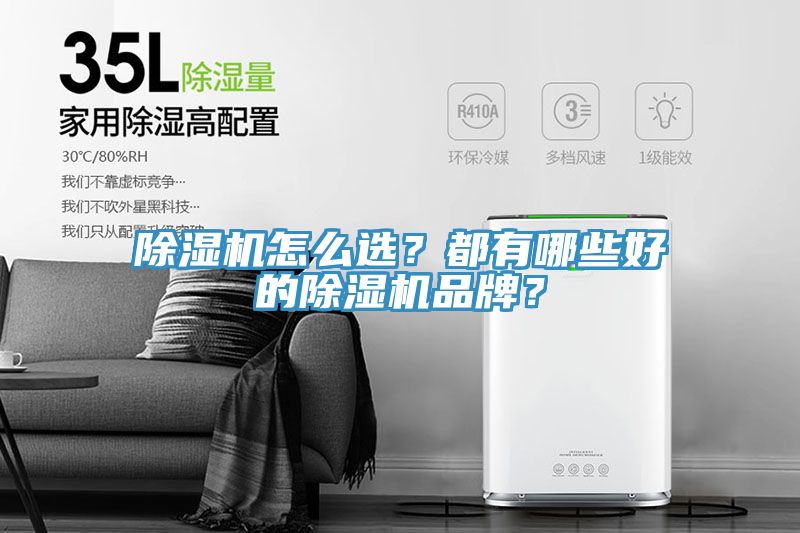 除濕機(jī)怎么選？都有哪些好的除濕機(jī)品牌？