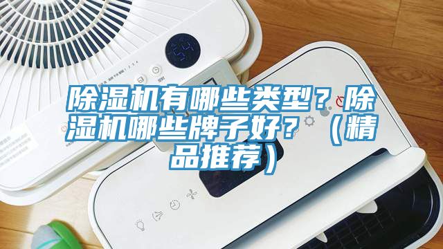 除濕機有哪些類型？除濕機哪些牌子好？（精品推薦）