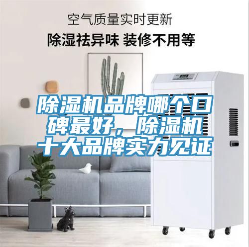 除濕機(jī)品牌哪個口碑最好，除濕機(jī)十大品牌實力見證