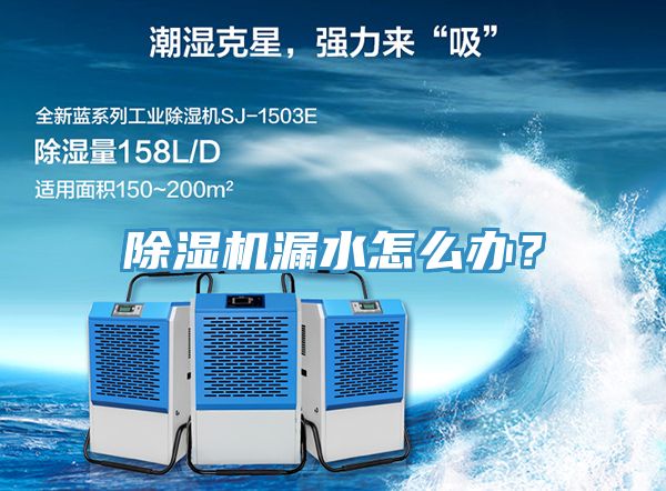 除濕機漏水怎么辦？