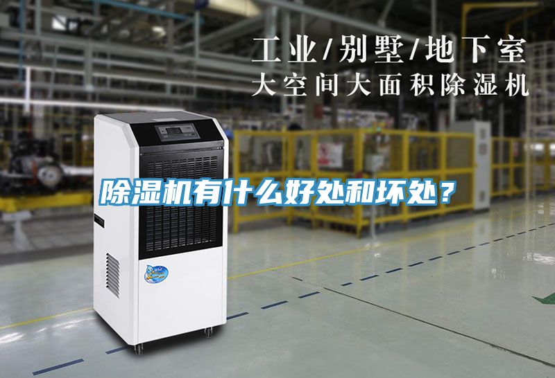 除濕機有什么好處和壞處？