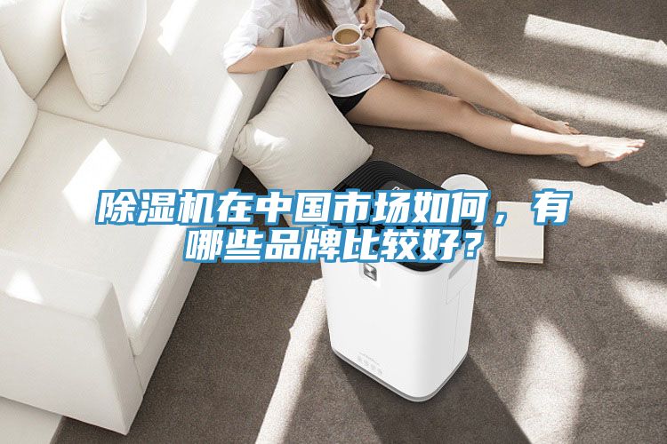 除濕機(jī)在中國(guó)市場(chǎng)如何，有哪些品牌比較好？