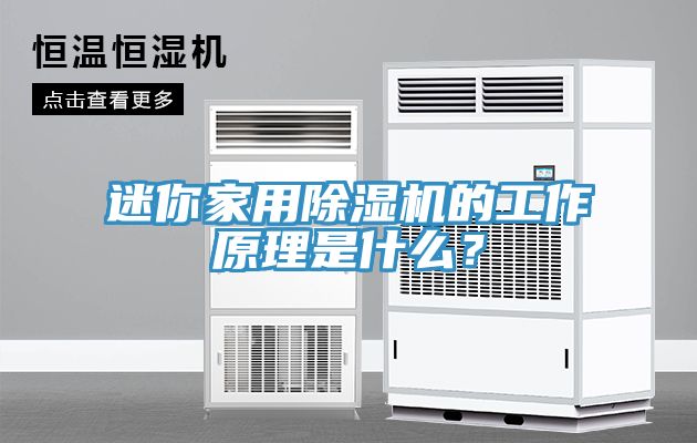 迷你家用除濕機的工作原理是什么？