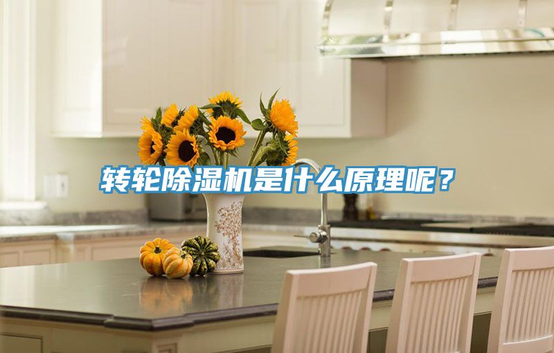 轉(zhuǎn)輪除濕機(jī)是什么原理呢？