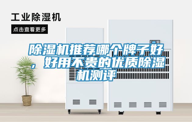除濕機(jī)推薦哪個(gè)牌子好，好用不貴的優(yōu)質(zhì)除濕機(jī)測評(píng)