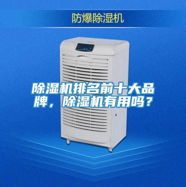除濕機排名前十大品牌，除濕機有用嗎？
