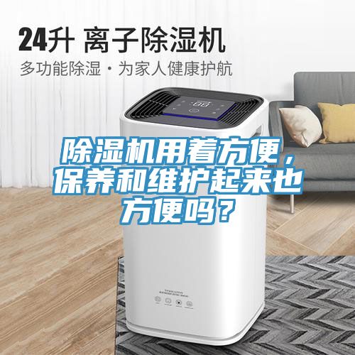 除濕機(jī)用著方便，保養(yǎng)和維護(hù)起來也方便嗎？