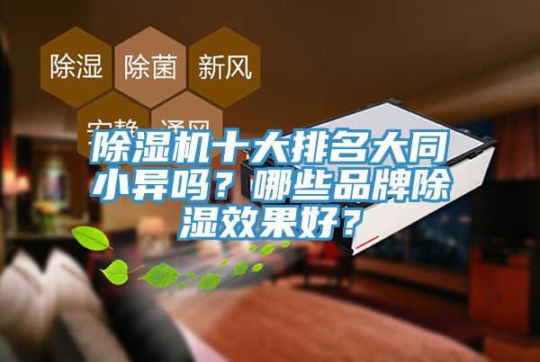 除濕機(jī)十大排名大同小異嗎？哪些品牌除濕效果好？