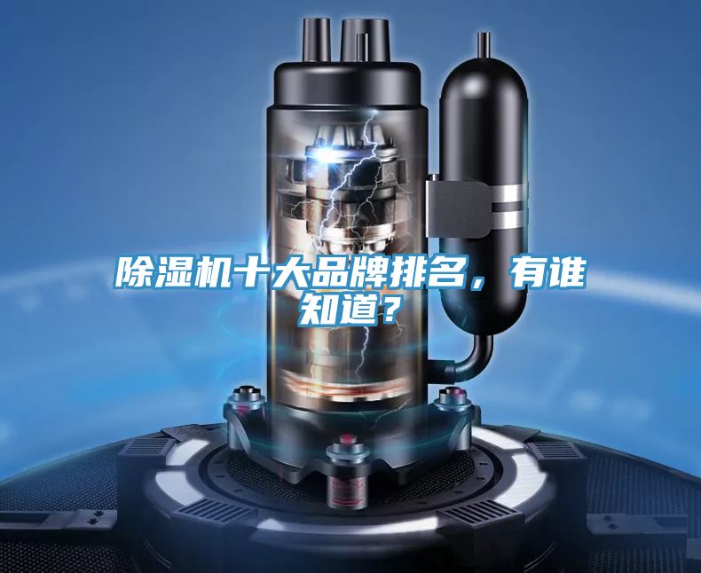 除濕機(jī)十大品牌排名，有誰知道？