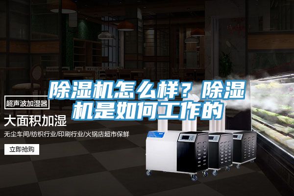 除濕機(jī)怎么樣？除濕機(jī)是如何工作的