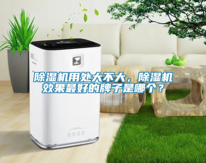 除濕機(jī)用處大不大，除濕機(jī)效果最好的牌子是哪個(gè)？