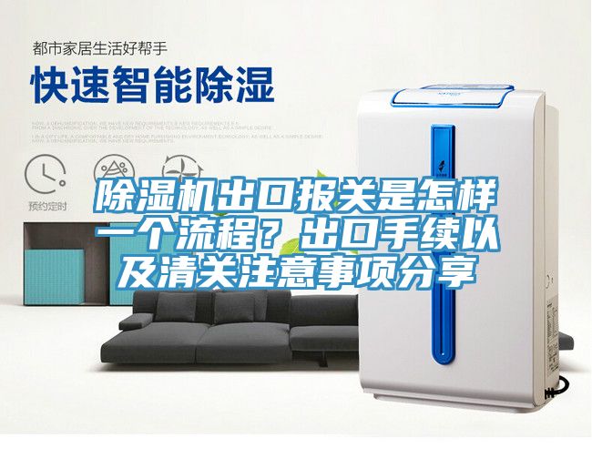 除濕機(jī)出口報(bào)關(guān)是怎樣一個(gè)流程？出口手續(xù)以及清關(guān)注意事項(xiàng)分享