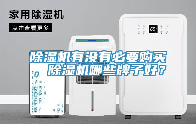 除濕機(jī)有沒有必要購買，除濕機(jī)哪些牌子好？