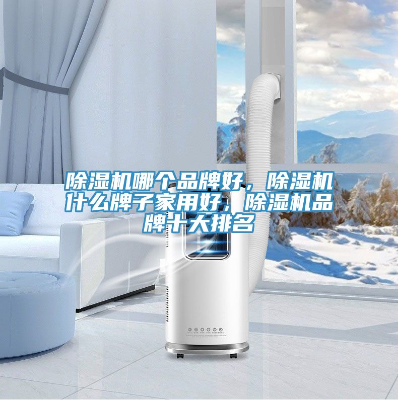 除濕機(jī)哪個(gè)品牌好，除濕機(jī)什么牌子家用好，除濕機(jī)品牌十大排名