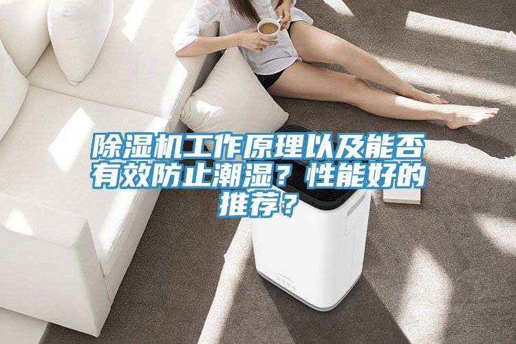 除濕機工作原理以及能否有效防止潮濕？性能好的推薦？