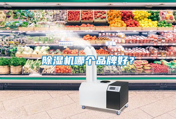 除濕機(jī)哪個(gè)品牌好？