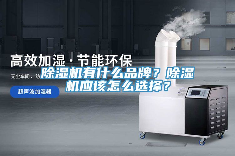 除濕機(jī)有什么品牌？除濕機(jī)應(yīng)該怎么選擇？
