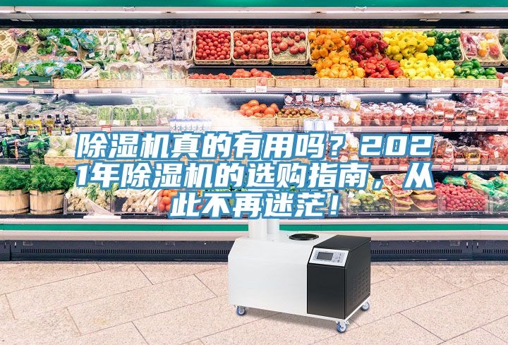 除濕機(jī)真的有用嗎？2021年除濕機(jī)的選購指南，從此不再迷茫！