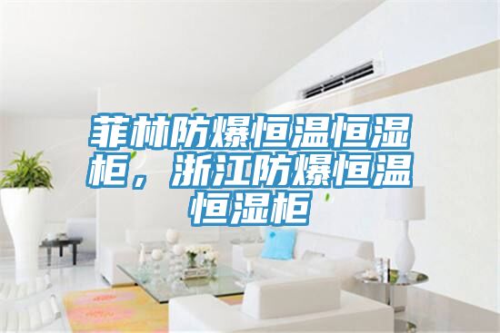 菲林防爆恒溫恒濕柜，浙江防爆恒溫恒濕柜