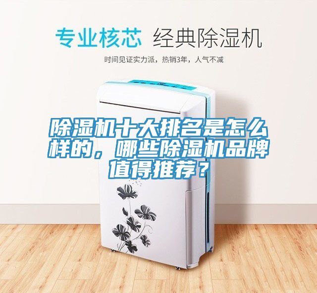 除濕機(jī)十大排名是怎么樣的，哪些除濕機(jī)品牌值得推薦？