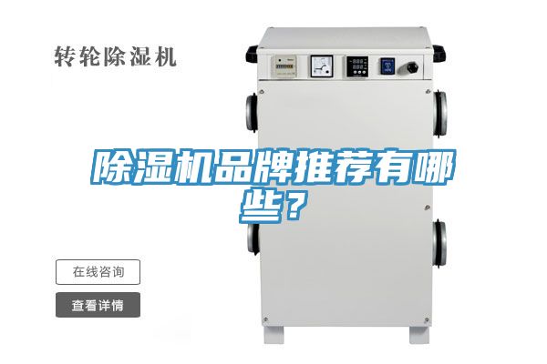 除濕機品牌推薦有哪些？