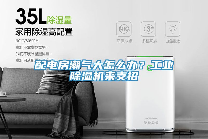 配電房潮氣大怎么辦？工業(yè)除濕機(jī)來支招