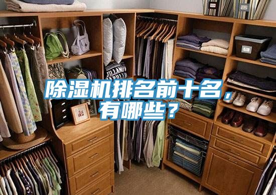 除濕機(jī)排名前十名，有哪些？