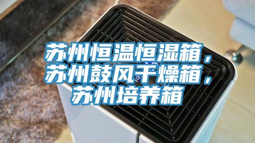 蘇州恒溫恒濕箱，蘇州鼓風干燥箱，蘇州培養(yǎng)箱